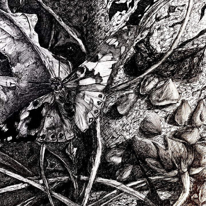 Camoflauge